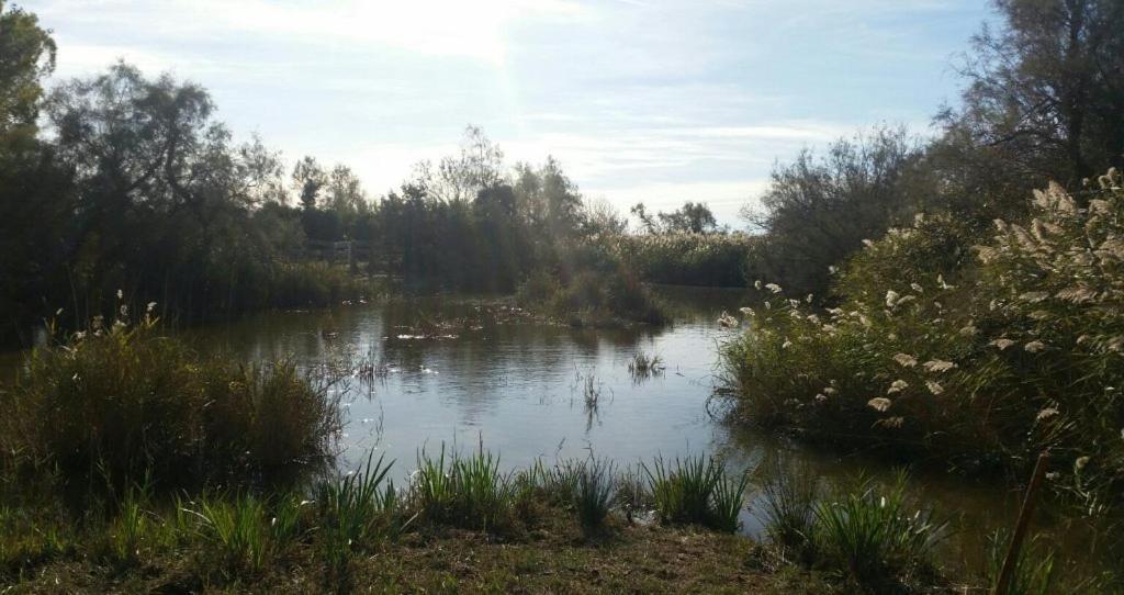 Auberge De La Fadaise Saintes-Maries-de-la-Mer Exteriör bild